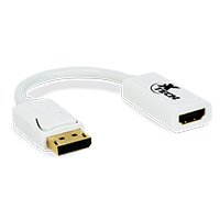 Xtech Display adapter 20 pin DisplayPort 19 pin HDMI Type