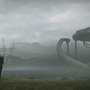 PS4 Juego Shadow of the Colossus