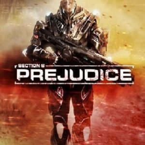 PC - Section 8: Prejudice